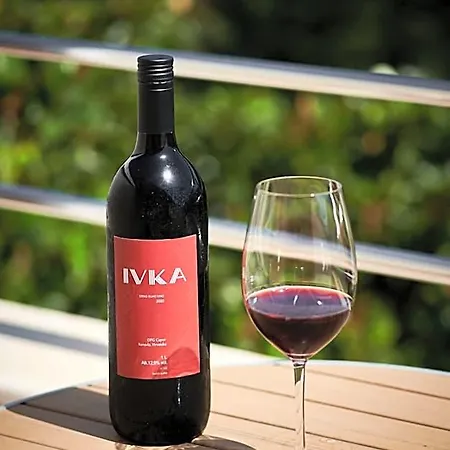 Отель Ivka