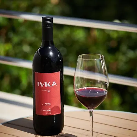 Ivka 3*